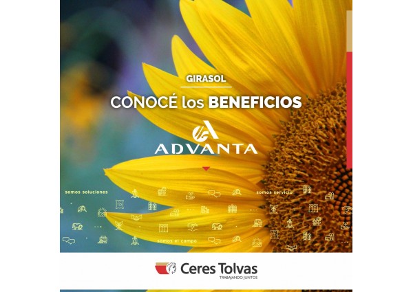 Campaña Girasol Advanta